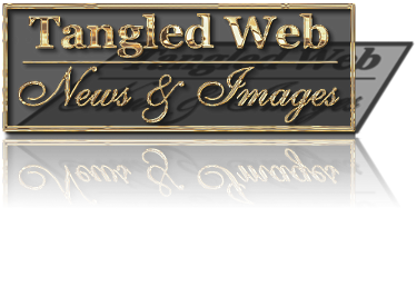 header garnish