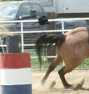 photo15