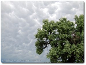photo25